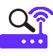Network device auditing